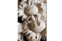  Ornamental carving and ornaments in wood for furniture and panelling in the style of Grinling Gibbons. Foliage carving in limewood , historical and period style high-relief woodcarving in limewood.